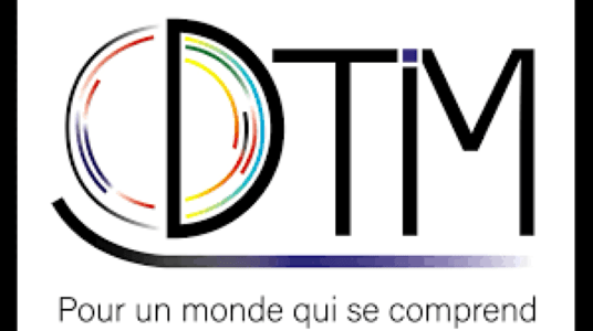 Logo D-Tim